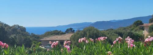 Viggianello Apartment | T2 Propriano vue mer, neuf, climatisé et classé 3 étoiles