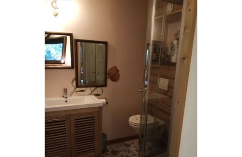 Saint-Cirq Apartment | T2 with courtyard and romantic terrace. Unusual spa at extra charge, Pets allowed