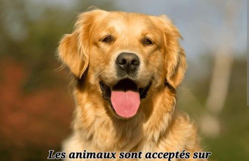 Thyez Apartment | T3 lumineux avec jardin & vue montagnes - Thyez