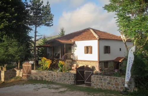 Aybastı House | TAŞ KONAK BUTİK OTEL
