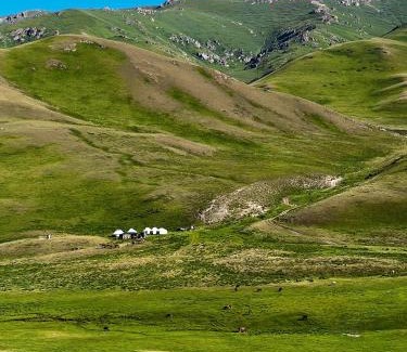 Naryn Region Apartment | Taasir Yurt Camp