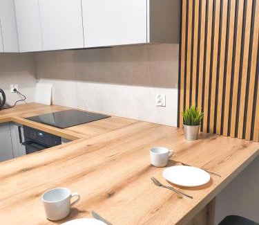 Brzesko Apartment | Tabago Studio 35 Brzesko Błękitna