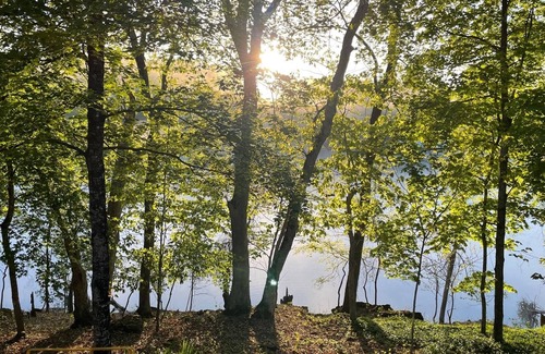 Golden House | Table Rock Lake Lakefront, Easy Walkdown, Very Quiet, Newly Renovated
