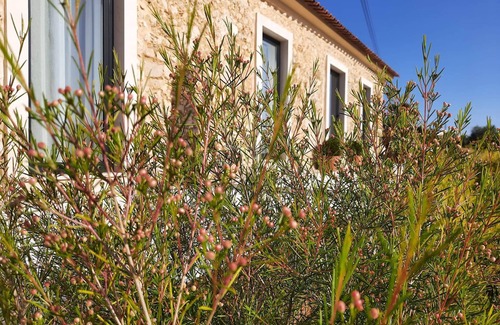 Ourem Cottage | TACOARIA HOUSE WITH POOL