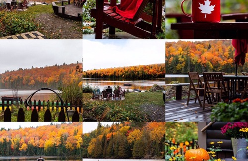 Keswick Ridge Cabin | Taffy Lake Wilderness Retreat