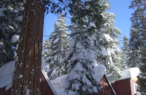 Tahoma Bed & Breakfast | Tahoma Meadows Cottages