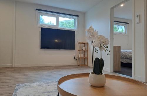 Dunedin Apartment | Tainui Charm - Fully Renovated, 2 Bedrooms