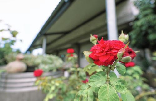Taitung House | Taitung city-cottage B&B