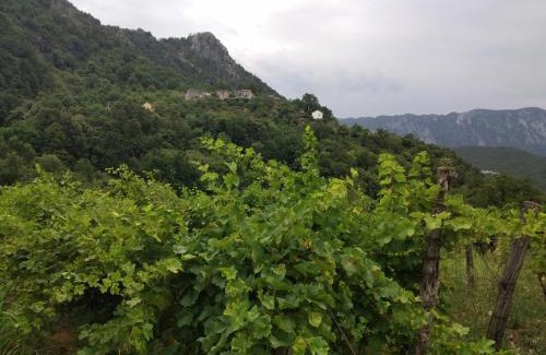 Virpazar Apartment | Take a Lake - Zabes, Virpazar
