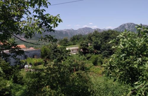 Virpazar Apartment | Take a Lake - Zabes, Virpazar