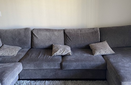 Westchase Apartment | Take it easy at this unique and tranquil getaway.