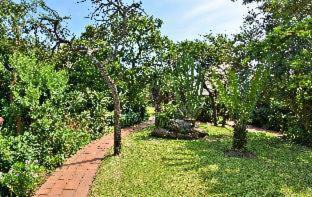 Eston Cabin | Tala Collection Game Reserve