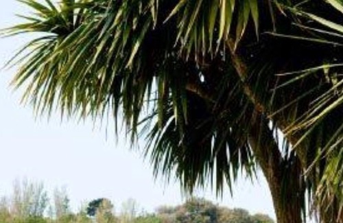 St.Saviour Hotel | Talana Hotel