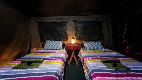 Talek Other | Talek Bush Camp , Masai Mara