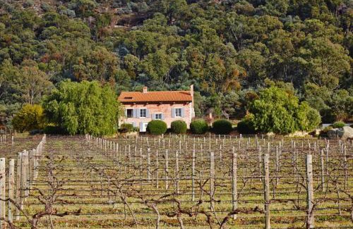 Fordwich House | Talits Estate Vineyard