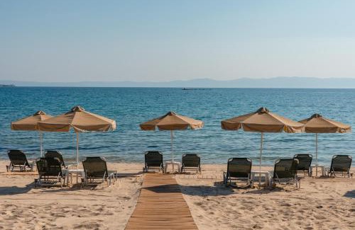 Sarti Apartment | Talizeti Home - Adults Only