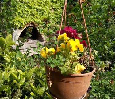 Gori House | Tamar Guest House