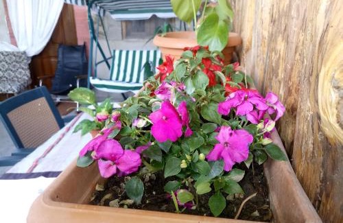 Gori House | Tamar Guest House