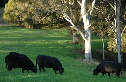 Rollands Plains House | Tambreet Cottage Farmstay
