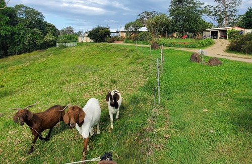 Rollands Plains House | Tambreet Cottage Farmstay
