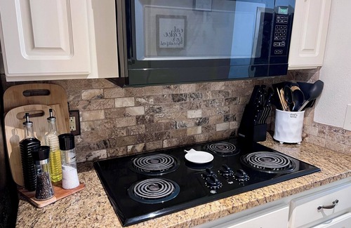 Bearss Plaza House | Tampa fun filled pool jacuzzi home Busch gardens