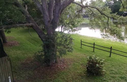 Tampa House | Tampa Lakehouse II 2 bedroom and 2 bathroom