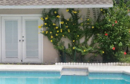 Lake Magdalene Apartment | Tampa Pool house with full bathroom, a kitchenette, near most local activities
