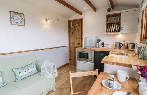 Acrefair Cottage | TAN Y CASTELL SHEPHERDS HUT, romantic, with a garden in Llangollen