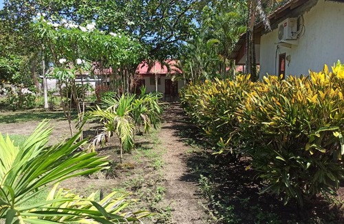 Marinsow House | Tangkoko Jungle Homestay