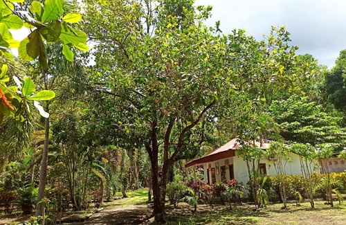 Marinsow House | Tangkoko Jungle Homestay