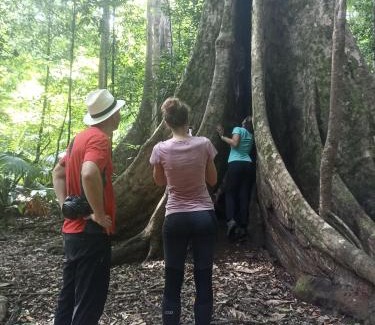 Marinsow House | Tangkoko Ranger Homestay