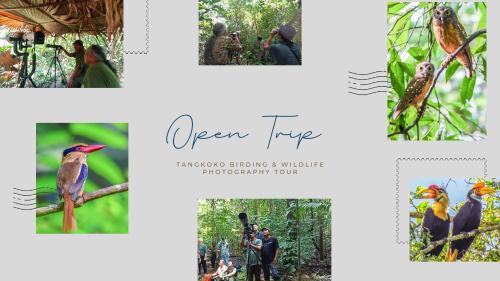 Marinsow House | Tangkoko Ranger Homestay