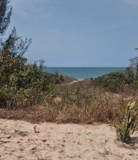 Tanji Resort | Tanji Bird Eco Resort
