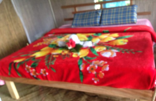 Tanna Island Hotel | Tanna Lava View Bungalows