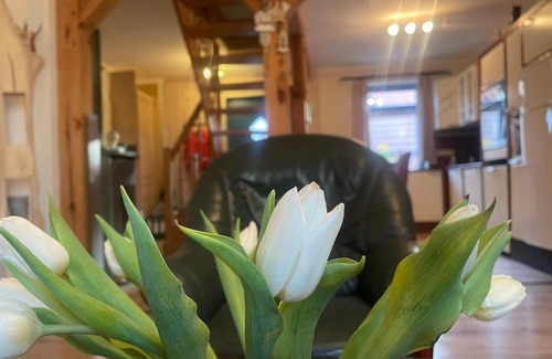 Hohen Mistorf House | Tannenhaus Hohen Mistorf