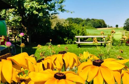 Grundhof House | Tante Kamps Hus - Uriges Häuschen mit Garten und Geschichte
