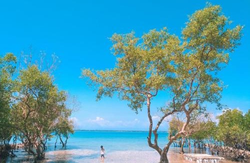 Ronda Bed & Breakfast | Tanyon Bay Beach House