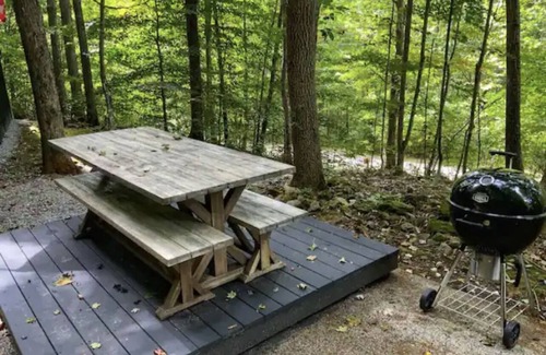 Slade Cabin | Tanzanite- The "GEM" with a Hot Tub & WiFi!