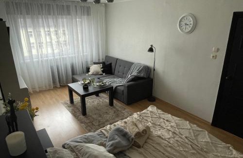 Tapa Apartment | Tapa Guest Apartment
