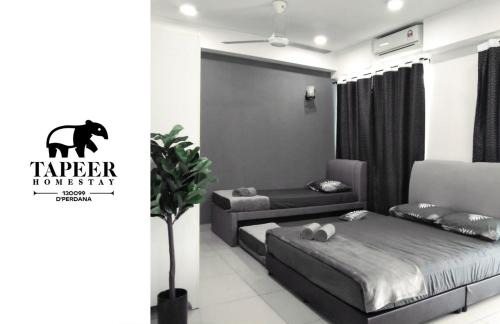 Kampung Telaga Nibong Apartment | Tapeer Homestay 13CC99 @D Perdana Kota Bharu