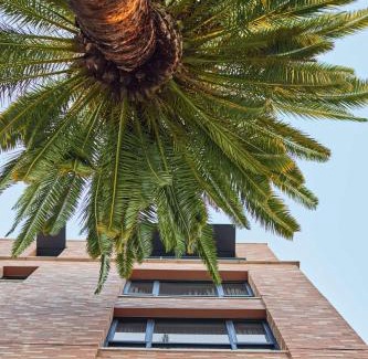 Midtown Sacramento Hotel | Tapestry By Hilton The Fort Sutter Hotel Sacramento, Ca