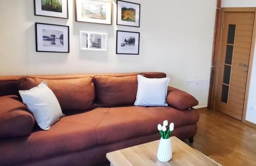 Kremna Apartment | Tara Apartmani Malešević - 3 lux