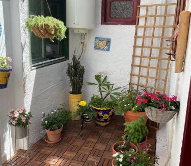 La Magdalena House | Tara Casa