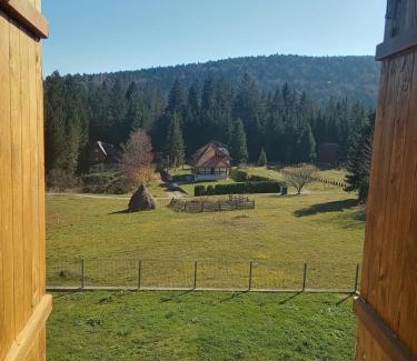 Beserovina House | Tara Mountain House