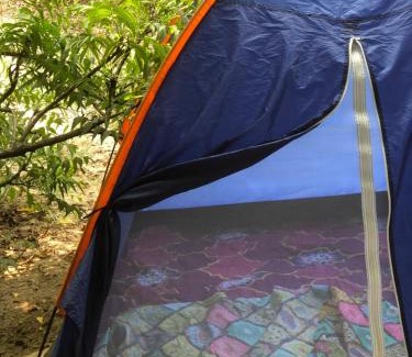 Lagos Other | Tarkwabay Beach Trips Camping