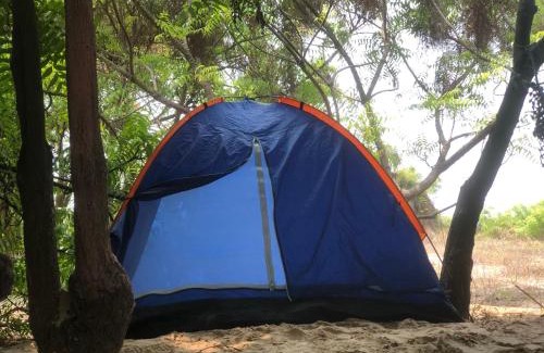 Lagos Other | Tarkwabay Beach Trips Camping