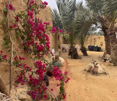 Siwa Apartment | TATRABENT - Eco Friendly retreat in Siwa