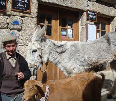 Monsanto House | Taverna Lusitana