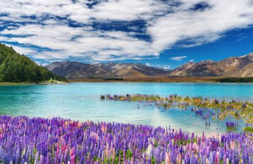 Manapouri Hotel | Te Anau Manapouri Lake Hotel