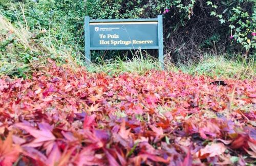 Te Puia Hotel | Te Puia Hot Springs Hotel